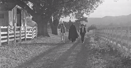 beck WE LOVE BECK AND ALL HIS WEIRDNESS [VIDEO]