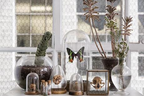 Chic and Unique Living Spaces