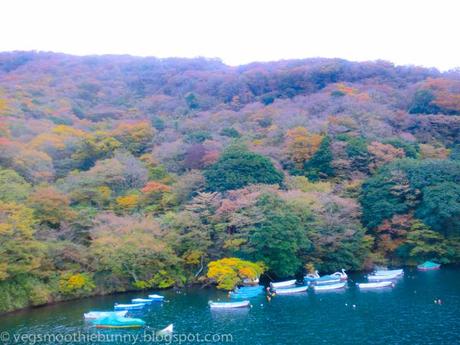 Tokyo Aumtumn Trip 2013: 1 day Hakone- Mt Fuji Trip