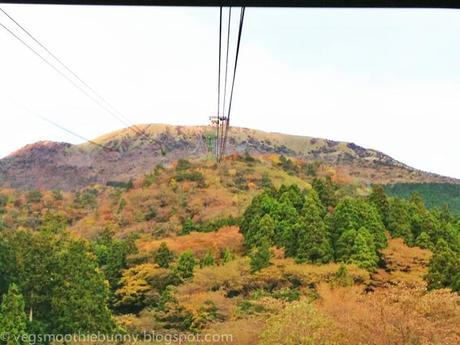 Tokyo Aumtumn Trip 2013: 1 day Hakone- Mt Fuji Trip