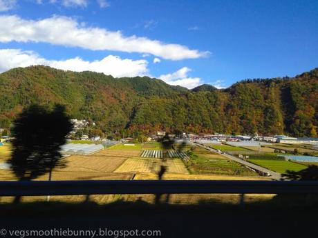 Tokyo Aumtumn Trip 2013: 1 day Hakone- Mt Fuji Trip
