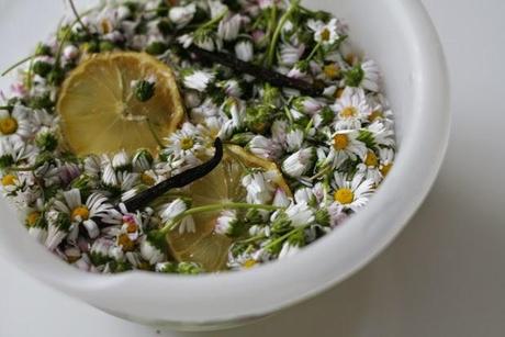 dasie nectarine jelly.