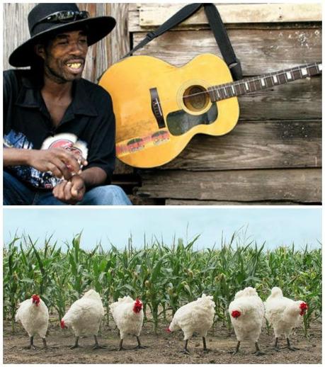 Mind the Music: Chicken in Corn
