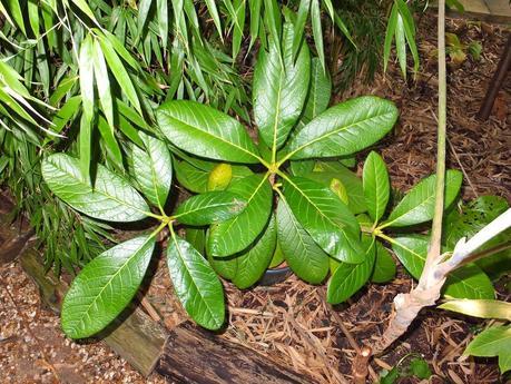 Image (c) Alternative Eden