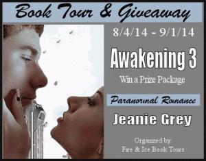 awakening 3 tour banner 2