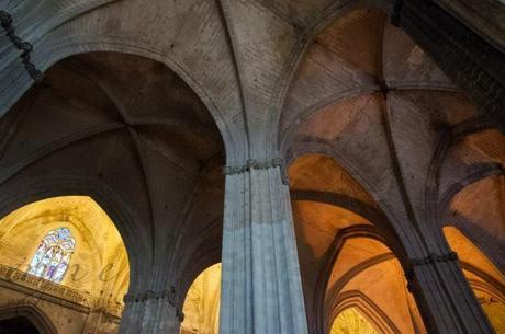 Taxi Protests and Birds Eye Views – Seville, Spain 1969411_10100128517367415_4236132308509341020_n