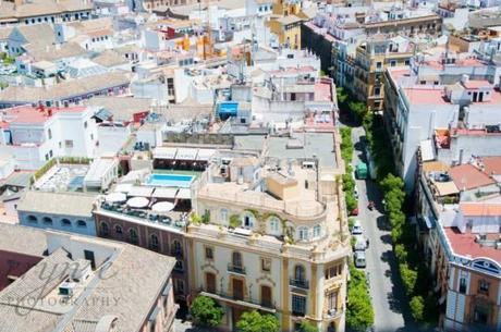 Taxi Protests and Birds Eye Views – Seville, Spain 10553529_10100128539587885_3451454161318595758_n