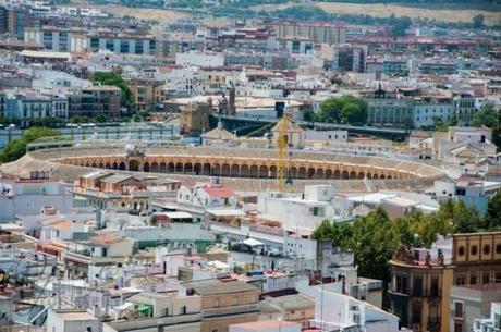 Taxi Protests and Birds Eye Views – Seville, Spain 10527782_10100128540930195_7443281916629013121_n