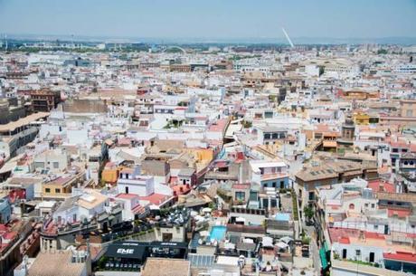 Taxi Protests and Birds Eye Views – Seville, Spain 10271605_10100128540675705_3647226223594564453_n