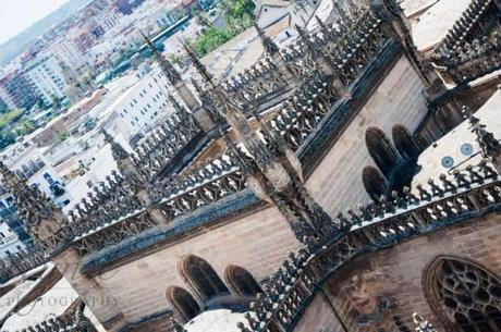 Taxi Protests and Birds Eye Views – Seville, Spain 10527870_10100128542018015_232158137499847762_n