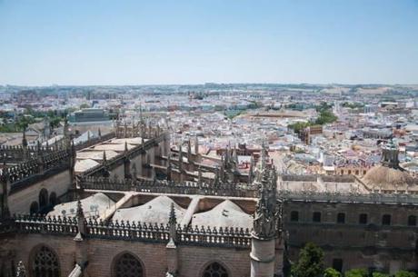 Taxi Protests and Birds Eye Views – Seville, Spain 10501750_10100128541469115_3615241894047037549_n