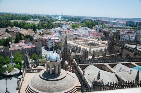 Taxi Protests and Birds Eye Views – Seville, Spain 10556298_10100128542871305_264967927799766304_n