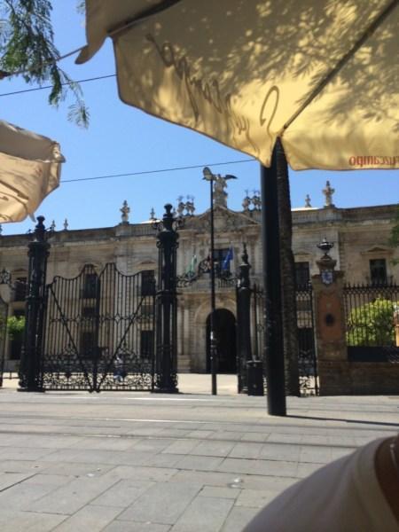 Taxi Protests and Birds Eye Views – Seville, Spain University