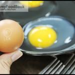 PASTEURIZED EGGS BY EGG STORY