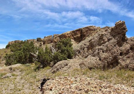 Hunting Pterosaurs by the Sundance Sea