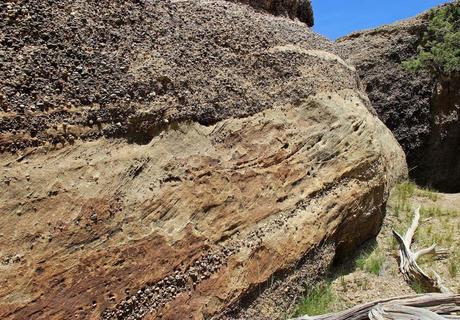 Hunting Pterosaurs by the Sundance Sea