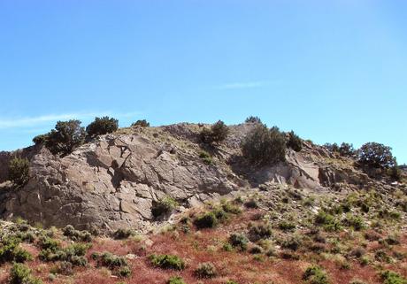 Hunting Pterosaurs by the Sundance Sea