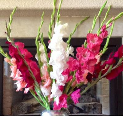 Glorious Gladiolas