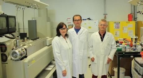 (From left) Berit Ebert, Carsten Rautengarten and Henrik Scheller at JBEI have developed an assay for characterizing the functions of nucleotide sugar transporters in plant cell walls