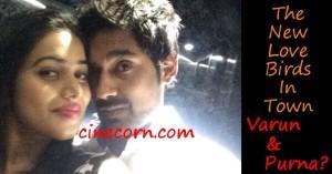varunsandesh-poorna-shamna-hot-love-affair-leaked-pics-photos-videos-slider