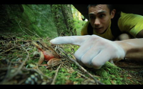 It was, yes, humid enough for amphibians to be out.