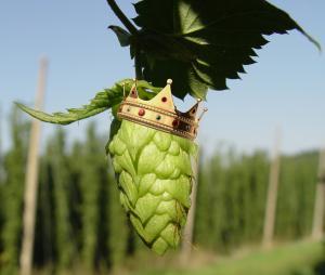 Who is king of the IPA?