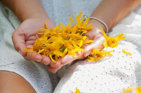 Arnica Montana benefits