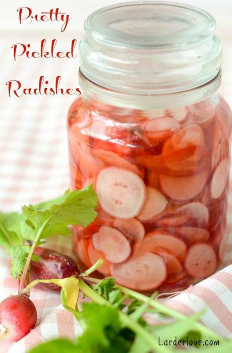 pickled radishes by larderlove