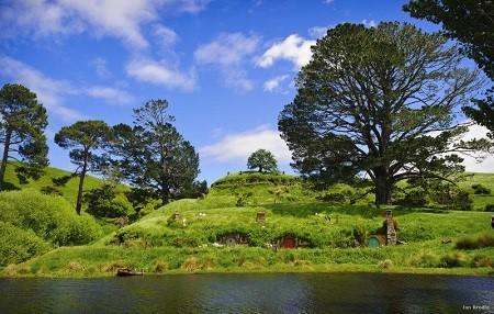 Fans will visit the famous party tree set in The Shire at Hobbiton, New Zealand. (PRNewsFoto/Tourism New Zealand)