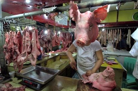 Pork importation Ban