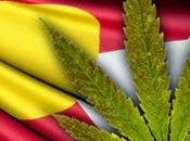 More Proof That Legalizing Right Move