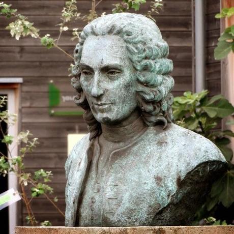 The bust of Carl Linnaeus, in the words of artist Lucie Geffré
