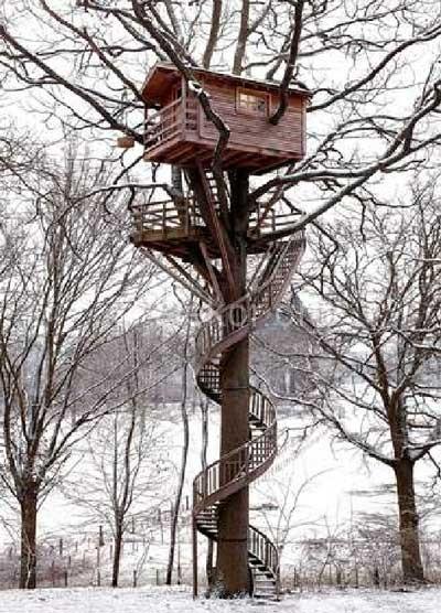 Top FIVE Fun Tree House Designs and Garden Spaces Top FIVE Fun Tree House Designs and Garden Spaces