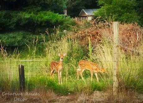 Top FIVE Fun Tree House Designs and Garden Spaces Top FIVE Fun Tree House Designs and Garden Spaces