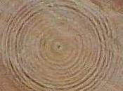 Links For: Grace Law; Lord's Table; Historical Adam, Theology Sleep