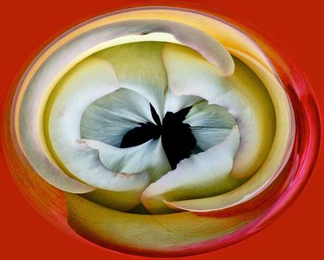 Post Processing Abstracts 3   [Orange You Glad It’s Friday]