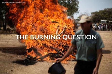 The Burning Question – Africa Geographic Magazine