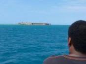 Tortugas Out, Right—in Many Ways