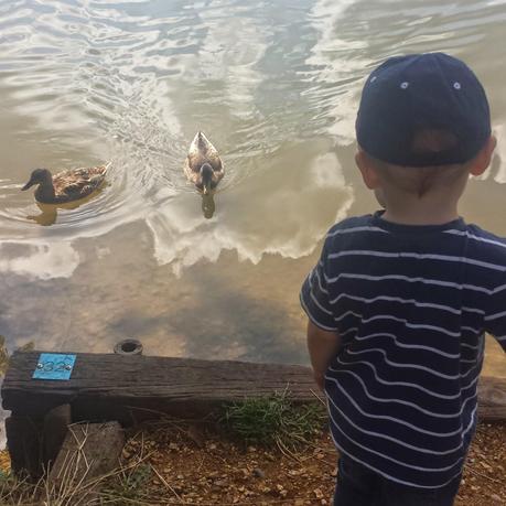 A Trip Aboard A Steam Train - #31daysoffun