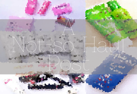 A Not-so Haul Post ft. What to see next on my blog