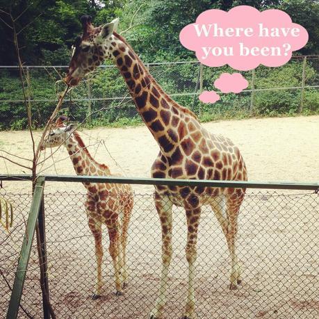 YOU HAVE TO GO AWAY IN ORDER TO MISS SOMETHING. YOU HAVE TO GO AWAY IN ORDER TO MISS SOMETHING.