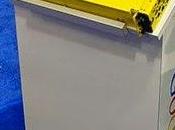 Should Entrepreneurs Grow Revenue User Count?