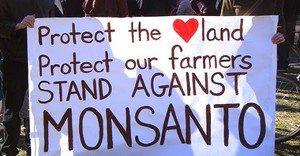 India: Selling Out To Monsanto. GMOs and the Bigger Picture