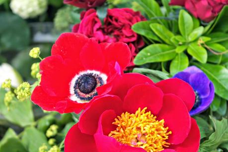 The Chelsea Flower Show 2014