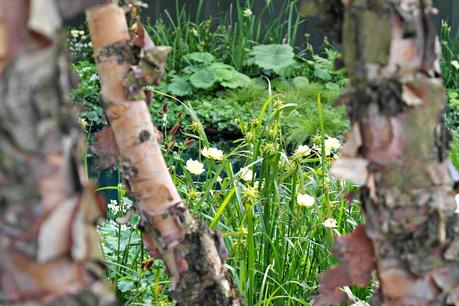 The Chelsea Flower Show 2014