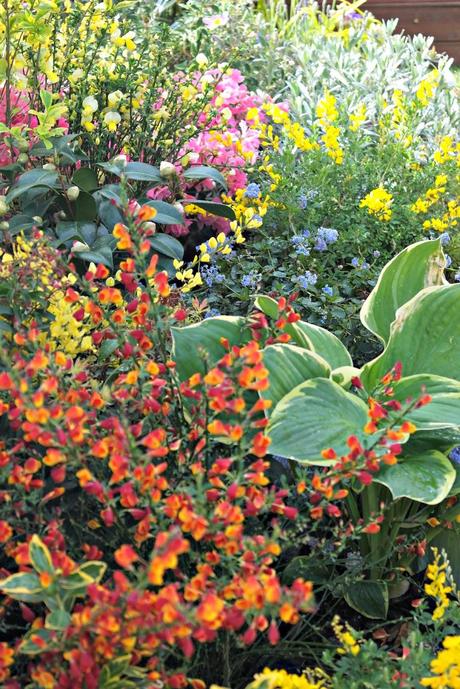 The Chelsea Flower Show 2014