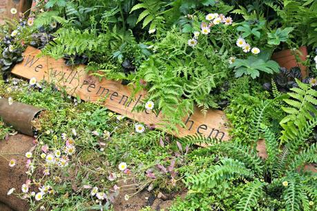 The Chelsea Flower Show 2014