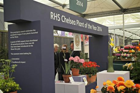 The Chelsea Flower Show 2014
