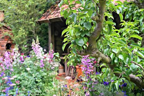 The Chelsea Flower Show 2014