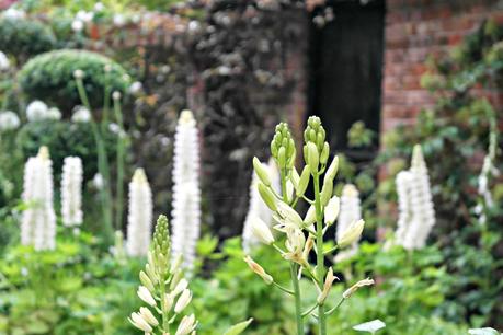 The Chelsea Flower Show 2014